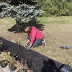 „Zieleń dla niepodległej” - pod takim hasłem przed świetlicą wiejską w Świniarach Nowych w gminie Łoniów odbywa się sadzenie roślinności / Grażyna Szlęzak-Wójcik / Radio Kielce