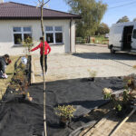 „Zieleń dla niepodległej” - pod takim hasłem przed świetlicą wiejską w Świniarach Nowych w gminie Łoniów odbywa się sadzenie roślinności / Grażyna Szlęzak-Wójcik / Radio Kielce