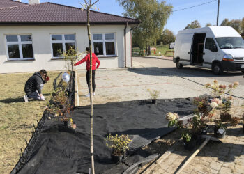 „Zieleń dla niepodległej” - pod takim hasłem przed świetlicą wiejską w Świniarach Nowych w gminie Łoniów odbywa się sadzenie roślinności / Grażyna Szlęzak-Wójcik / Radio Kielce