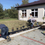 „Zieleń dla niepodległej” - pod takim hasłem przed świetlicą wiejską w Świniarach Nowych w gminie Łoniów odbywa się sadzenie roślinności / Grażyna Szlęzak-Wójcik / Radio Kielce