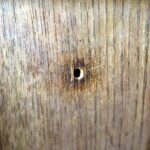 23.03.2016 Jędrzejów. Muzeum im. Przypkowskich. Gabinet lekarski. Podczas I wojny światowej kwaterował tu Józef Piłsudski. Dziura po kuli z jego pistoletu. / Jarosław Kubalski / Radio Kielce