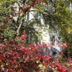 10.10.2018 Kielce. Dawny budynek UJK przy ulicy Leśnej / Jarosław Kubalski / Radio Kielce