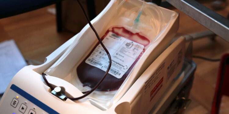 Akcja honorowego oddawania krwi pod hasłem "spoKREWnieni służbą" w Świętokrzyskim Urzędzie Wojewódzkim / Marzena Mąkosa / Radio Kielce