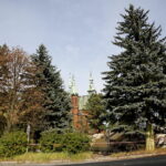 Remont dworca PKS / Marzena Mąkosa / Radio Kielce