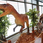 Salon Technologii i Wyposażenia dla Edukacji / Kongres Edukacji Przyszłości / Marzena Mąkosa / Radio Kielce