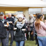 II spotkanie integracyjne dla seniorów w Domu Pomocy Społecznej przy ulicy Jagiellońskiej / Marzena Mąkosa / Radio Kielce