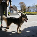 Akcja "Uwolnij Przyjaciela" na Placu Artystów / Marzena Mąkosa / Radio Kielce