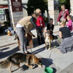 Akcja "Uwolnij Przyjaciela" na Placu Artystów / Marzena Mąkosa / Radio Kielce