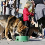 Akcja "Uwolnij Przyjaciela" na Placu Artystów / Marzena Mąkosa / Radio Kielce