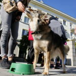 Akcja "Uwolnij Przyjaciela" na Placu Artystów / Marzena Mąkosa / Radio Kielce