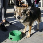 Akcja "Uwolnij Przyjaciela" na Placu Artystów / Marzena Mąkosa / Radio Kielce