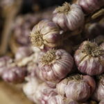 Hubertus Świętokrzyski 2018 / Marzena Mąkosa / Radio Kielce