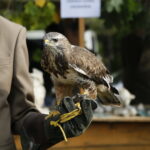 Hubertus Świętokrzyski 2018 / Marzena Mąkosa / Radio Kielce