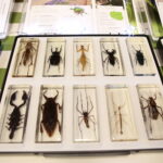 Kreatywna edukacja w Wojewódzkim Domu Kultury / Marzena Mąkosa / Radio Kielce