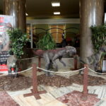 Kreatywna edukacja w Wojewódzkim Domu Kultury / Marzena Mąkosa / Radio Kielce