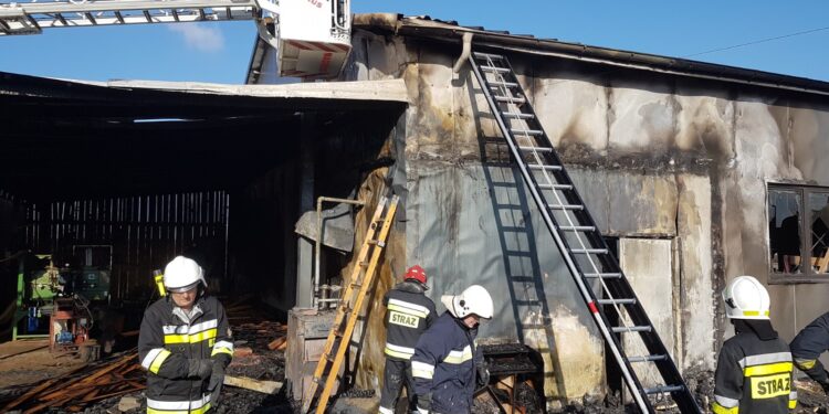 Pożar tartaku w Mircu / KPSP w Starachowicach