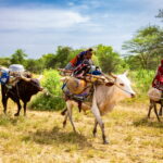 Czad. Festiwal Gerewol / Mirosław Lubarski / Radio Kielce