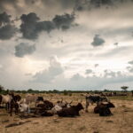 Czad. Festiwal Gerewol / Mirosław Lubarski / Radio Kielce