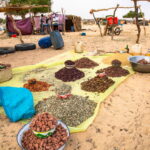 Muzyczne podróże. Czad / Mirosław Lubarski / Radio Kielce