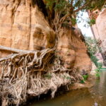 Muzyczne podróże. Czad / Mirosław Lubarski / Radio Kielce