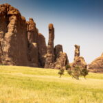 Muzyczne podróże. Czad / Mirosław Lubarski / Radio Kielce