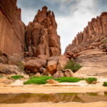 Muzyczne podróże. Czad / Mirosław Lubarski / Radio Kielce