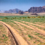 Muzyczne podróże. Czad / Mirosław Lubarski / Radio Kielce