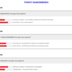 WYNIKI SONDAŻU PRZED II TURĄ WYBORÓW SAMORZĄDOWYCH / Radio Kielce