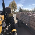 Przesuwa się termin interwencyjnego skupu jabłek / Grażyna Szlęzak-Wójcik / Radio Kielce