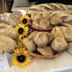 Tokarnia. Wręczenie certyfikatów „Świętokrzyska Kuźnia Smaków” / Krzysztof Bujnowicz / Radio Kielce