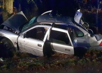 Wypadek w miejscowości Lipie, w gminie Brody / PSP Starachowice