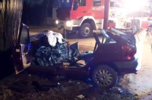 Śmiertelny wypadek w miejscowości Brzozowa / Straż Pożarna