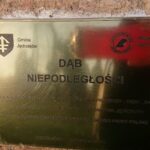 Jędrzejów. Sadzenie Dębów Niepodległości / Ewa Pociejowska - Gawęda / Radio Kielce