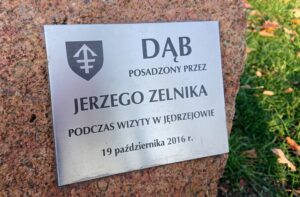 Jędrzejów. Sadzenie Dębów Niepodległości / Ewa Pociejowska - Gawęda / Radio Kielce