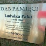 Jędrzejów. Sadzenie Dębów Niepodległości / Ewa Pociejowska - Gawęda / Radio Kielce