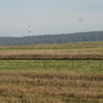 Trzeci dzień poszukiwań zaginionego 79-letniego Mariana Albina, mieszkańca miejscowości Wygnanów z gminy Małogoszcz / Ewa Pociejowska-Gawęda / Radio Kielce