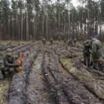Żołnierze Centrum Przygotowań do Misji Zagranicznych przy współudziale z Lasami Państwowymi Nadleśnictwa Kielce i Leśnictwa Dyminy zorganizowali akcję sadzenia dębów na stulecie odzyskania niepodległości przez Polskę / Marcin Różyc / Radio Kielce