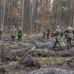 Żołnierze Centrum Przygotowań do Misji Zagranicznych przy współudziale z Lasami Państwowymi Nadleśnictwa Kielce i Leśnictwa Dyminy zorganizowali akcję sadzenia dębów na stulecie odzyskania niepodległości przez Polskę / Marcin Różyc / Radio Kielce