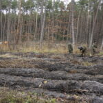 Żołnierze Centrum Przygotowań do Misji Zagranicznych przy współudziale z Lasami Państwowymi Nadleśnictwa Kielce i Leśnictwa Dyminy zorganizowali akcję sadzenia dębów na stulecie odzyskania niepodległości przez Polskę / Marcin Różyc / Radio Kielce