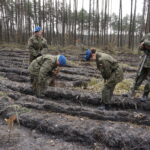Żołnierze Centrum Przygotowań do Misji Zagranicznych przy współudziale z Lasami Państwowymi Nadleśnictwa Kielce i Leśnictwa Dyminy zorganizowali akcję sadzenia dębów na stulecie odzyskania niepodległości przez Polskę / Marcin Różyc / Radio Kielce