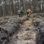 Żołnierze Centrum Przygotowań do Misji Zagranicznych przy współudziale z Lasami Państwowymi Nadleśnictwa Kielce i Leśnictwa Dyminy zorganizowali akcję sadzenia dębów na stulecie odzyskania niepodległości przez Polskę / Marcin Różyc / Radio Kielce