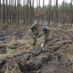 Żołnierze Centrum Przygotowań do Misji Zagranicznych przy współudziale z Lasami Państwowymi Nadleśnictwa Kielce i Leśnictwa Dyminy zorganizowali akcję sadzenia dębów na stulecie odzyskania niepodległości przez Polskę / Marcin Różyc / Radio Kielce