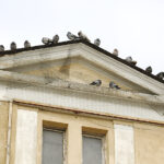 Kamienica na skrzyżowaniu ulic Staszica i Solnej / Jarosław Kubalski / Radio Kielce