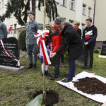Dąb Niepodległości „Józef Piłsudski” został zasadzony przed budynkiem VII Liceum Ogólnokształcącego im. Józefa Piłsudskiego w Kielcach / Jarosław Kubalski / Radio Kielce