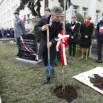 Dąb Niepodległości „Józef Piłsudski” został zasadzony przed budynkiem VII Liceum Ogólnokształcącego im. Józefa Piłsudskiego w Kielcach / Jarosław Kubalski / Radio Kielce