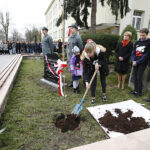 Dąb Niepodległości „Józef Piłsudski” został zasadzony przed budynkiem VII Liceum Ogólnokształcącego im. Józefa Piłsudskiego w Kielcach / Jarosław Kubalski / Radio Kielce