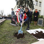 Dąb Niepodległości „Józef Piłsudski” został zasadzony przed budynkiem VII Liceum Ogólnokształcącego im. Józefa Piłsudskiego w Kielcach / Jarosław Kubalski / Radio Kielce