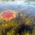 Muzyczne podróże. Norwegia / Marcin Marciniewski / Radio Kielce