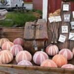 Muzyczne podróże. Norwegia / Marcin Marciniewski / Radio Kielce