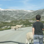 Muzyczne podróże. Norwegia / Marcin Marciniewski / Radio Kielce